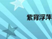 紫背浮萍別名（紫背浮萍）